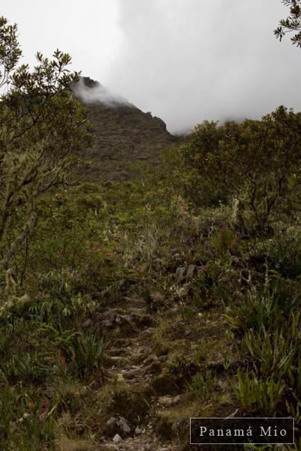 Volcan Baru Por El Lado de Cero Punto